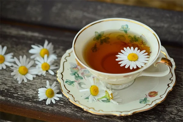 5 Funny Plant Names That'll Make You Laugh and Want to Grow Them