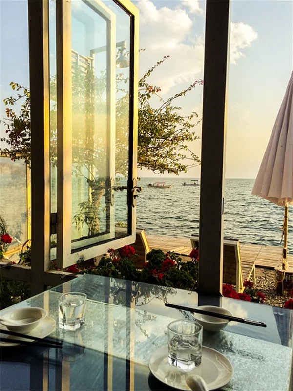 11 Fast-Growing Flower Seeds for Instant Garden Color